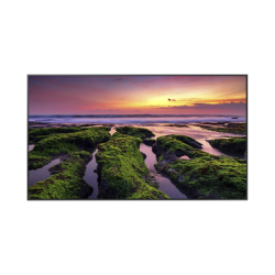 Pantalla Profesional LED de 65", UHD 4K (3840x2160p) / Entradas de Video HDM / Bocinas Integradas de 10 W. Compatible VESA / com