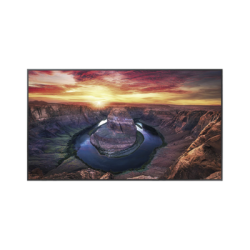 Pantalla Profesional LED de 50", UHD 4K (3840x2160p), Entradas de Video HDMI/DisplayPort / USO 24/7 / Compatible VESA / Compatib