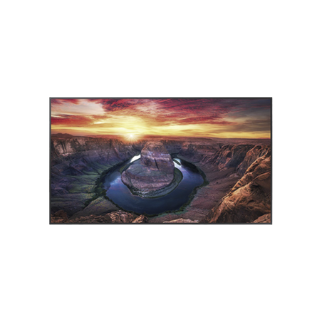 Pantalla Profesional LED de 50", UHD 4K (3840x2160p), Entradas de Video HDMI/DisplayPort / USO 24/7 / Compatible VESA / Compatib