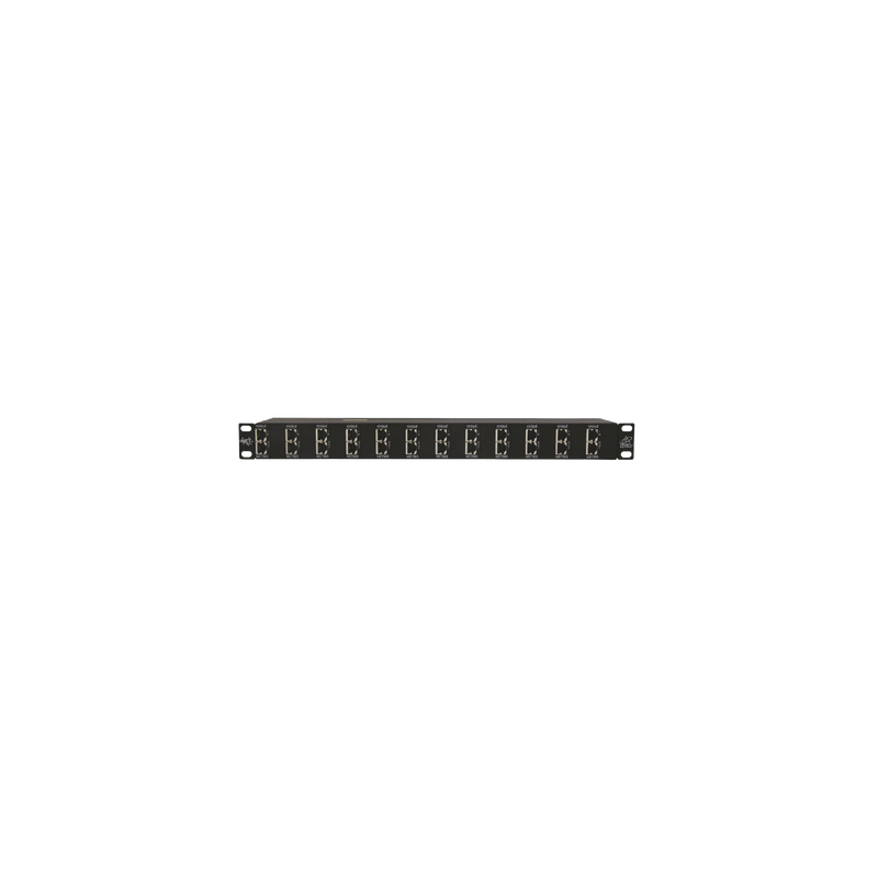 Protector Rack 12 Puertos / RJ45 / 10 GbE / PoE y PoE+ / CAT5e CAT6 CAT6A