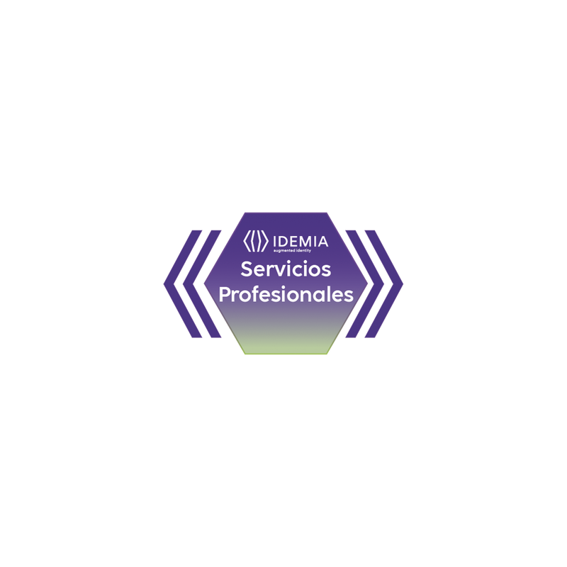 REMOTE ASSISTANCE JUNIOR 4 HORAS