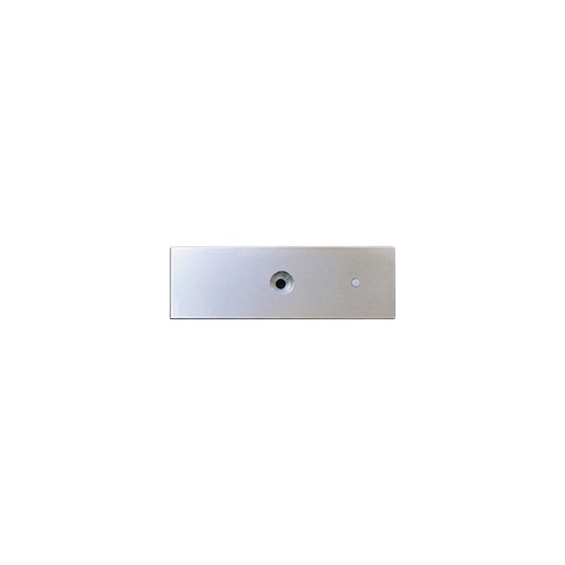 Refacción: Placa para chapa magnética MAG1200, MAG1200LED , No incluye tornilleria