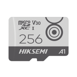 Memoria MicroSD / Clase 10 de 256 GB / Especializada Para Videovigilancia Movil (Uso 24/7) / Soporta Altas Temperaturas / 95 MB/