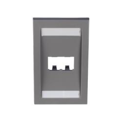 Placa de Pared Vertical Ejecutiva, Salida Para 2 Puertos Mini-Com, Con Espacios Para Etiquetas, Color Gris
