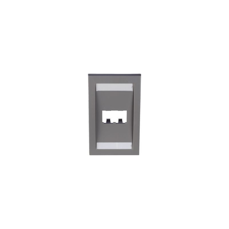 Placa de Pared Vertical Ejecutiva, Salida Para 2 Puertos Mini-Com, Con Espacios Para Etiquetas, Color Gris