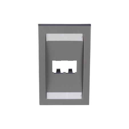 Placa de Pared Vertical Ejecutiva, Salida Para 2 Puertos Mini-Com, Con Espacios Para Etiquetas, Color Gris